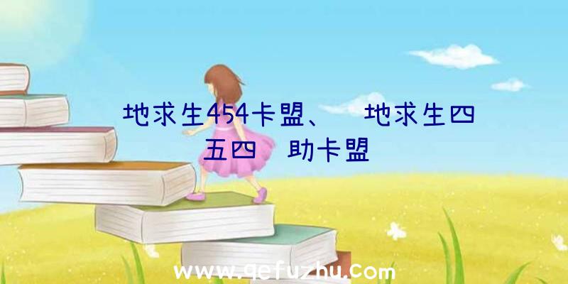 绝地求生454卡盟、绝地求生四五四辅助卡盟