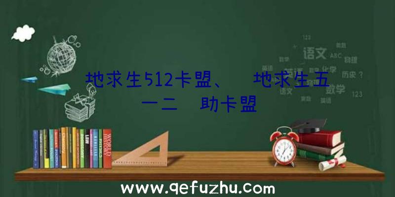 绝地求生512卡盟、绝地求生五一二辅助卡盟