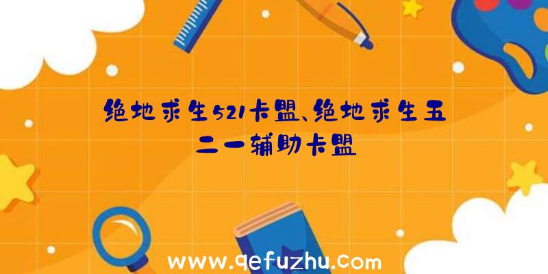 绝地求生521卡盟、绝地求生五二一辅助卡盟