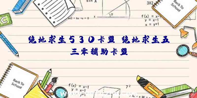 绝地求生530卡盟、绝地求生五三零辅助卡盟