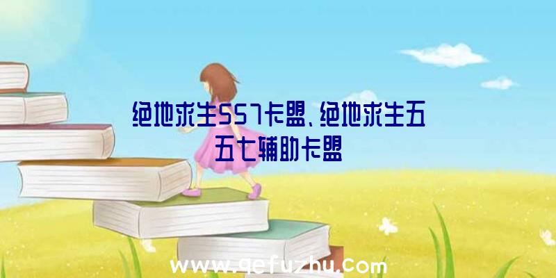 绝地求生557卡盟、绝地求生五五七辅助卡盟