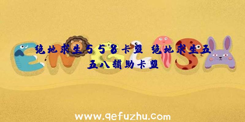 绝地求生558卡盟、绝地求生五五八辅助卡盟