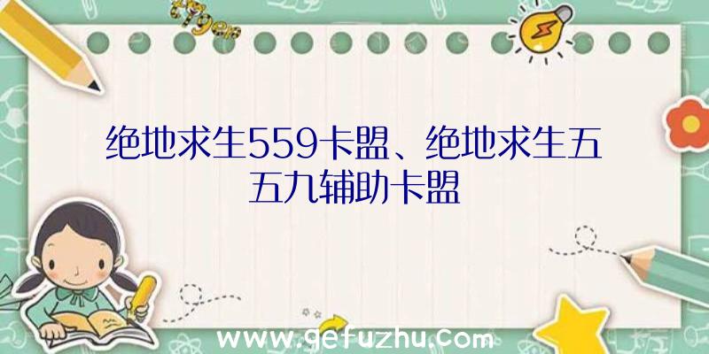 绝地求生559卡盟、绝地求生五五九辅助卡盟