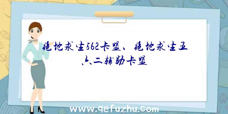 绝地求生562卡盟、绝地求生五六二辅助卡盟