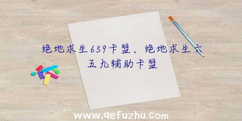 绝地求生659卡盟、绝地求生六五九辅助卡盟