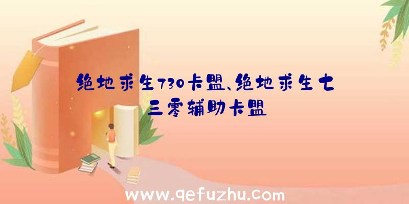 绝地求生730卡盟、绝地求生七三零辅助卡盟