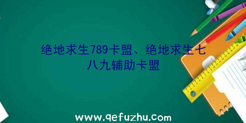 绝地求生789卡盟、绝地求生七八九辅助卡盟
