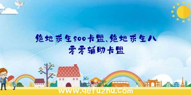 绝地求生800卡盟、绝地求生八零零辅助卡盟