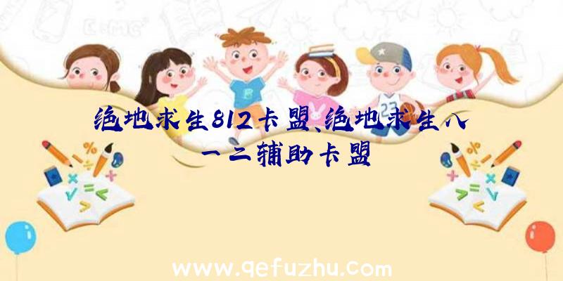 绝地求生812卡盟、绝地求生八一二辅助卡盟