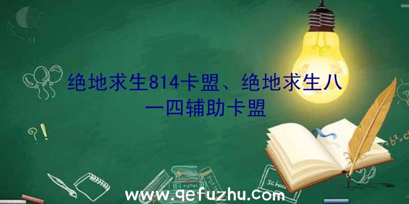 绝地求生814卡盟、绝地求生八一四辅助卡盟