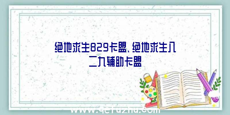 绝地求生829卡盟、绝地求生八二九辅助卡盟