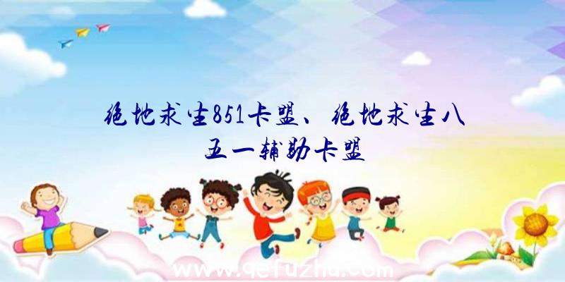 绝地求生851卡盟、绝地求生八五一辅助卡盟