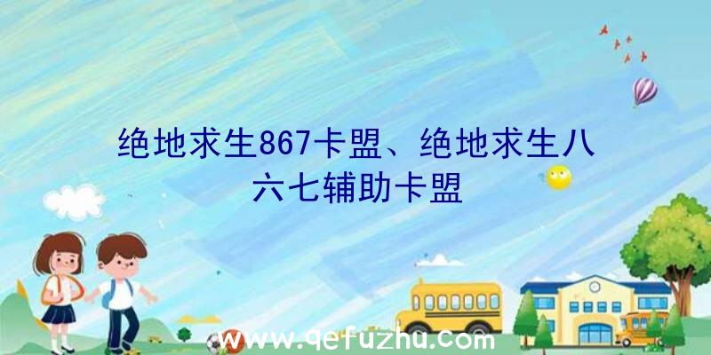 绝地求生867卡盟、绝地求生八六七辅助卡盟