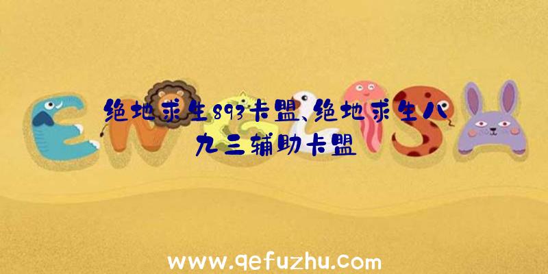 绝地求生893卡盟、绝地求生八九三辅助卡盟