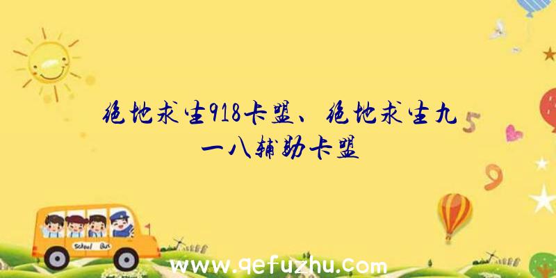 绝地求生918卡盟、绝地求生九一八辅助卡盟