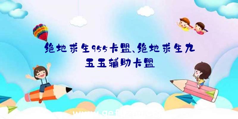 绝地求生955卡盟、绝地求生九五五辅助卡盟