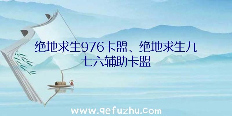 绝地求生976卡盟、绝地求生九七六辅助卡盟