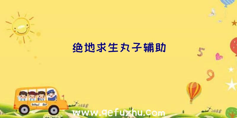 绝地求生丸子辅助