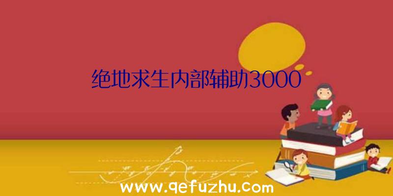 绝地求生内部辅助3000