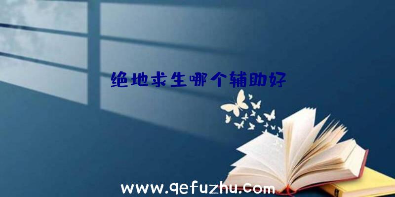 绝地求生哪个辅助好