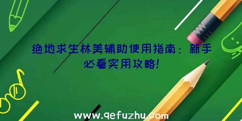 绝地求生林美辅助使用指南：新手必看实用攻略！