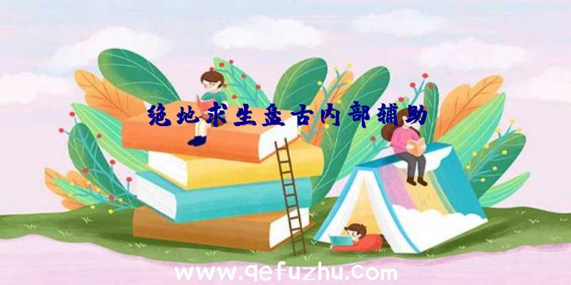 绝地求生盘古内部辅助