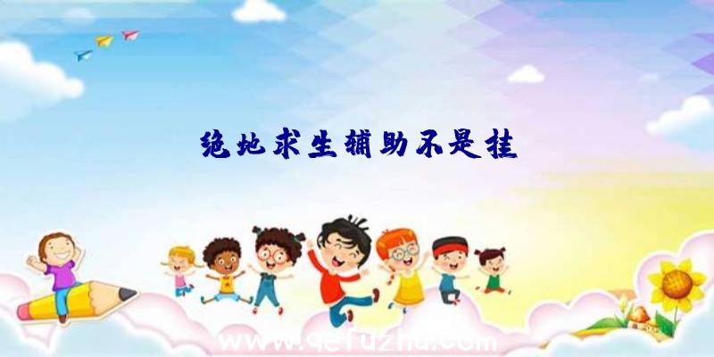 绝地求生辅助不是挂