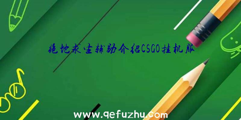 绝地求生辅助介绍CSGO挂机服