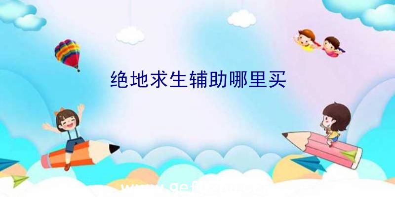 绝地求生辅助哪里买