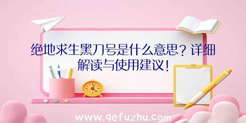 绝地求生黑刀号是什么意思？详细解读与使用建议！