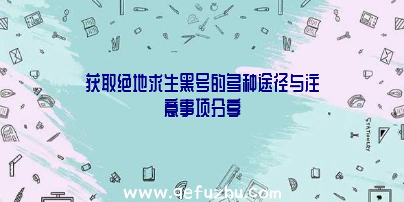 获取绝地求生黑号的多种途径与注意事项分享